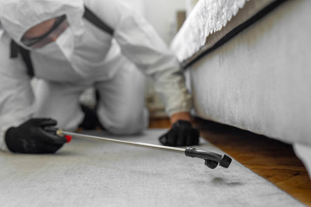 Professional Termite Control technician working in Napoleon, OH