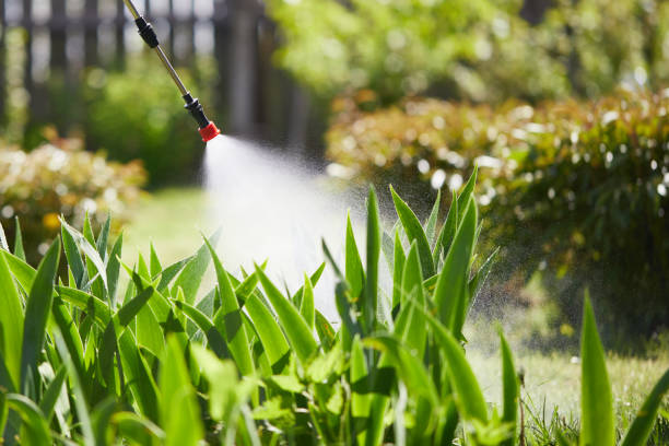 24/7 Emergency Termite Control experts in Napoleon, OH