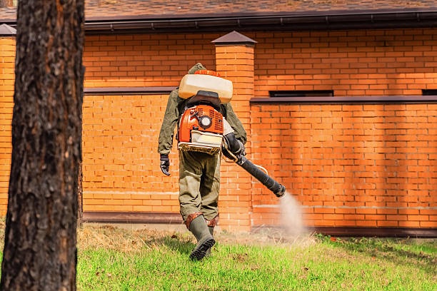Top rated local Termite Control specialists in Napoleon, OH